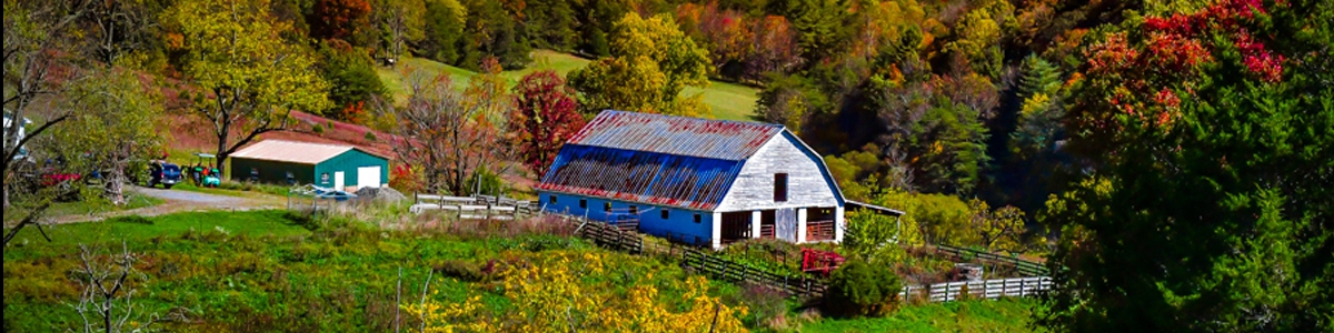 A friendly community nestled in the Allegheny Highlands Banner Image